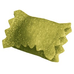 gefüllte Pasta frisch Raviolino al Basilico 2 x 1kg (RMB) (VB)