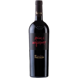Rotwein Anima di Lizzano Rosso Negroamaro DOC Salento 2019