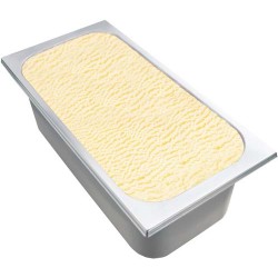 Bidonglace Gelato Artigianale Vaniglia VALENTINA (Inh. 4750ml)