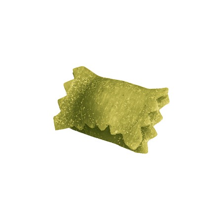 gefüllte Pasta frisch Raviolino al Basilico 2 x 1kg (RMB) (VB)