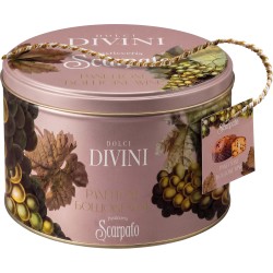 Panettone PBVIMSF750LADV00 / PANETTONE VINO BOLLICINE FARC.750 LATTA