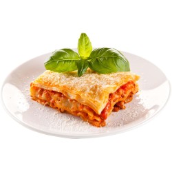 Fertiggerichte Lasagne Bolognese 30 x 350g TK