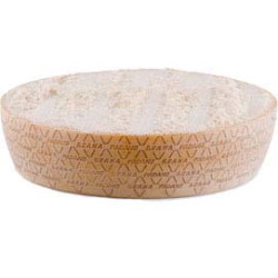 Parmigiano Reggiano Parmigiano Reggiano 1/2 Laib ca. 17kg (VB)