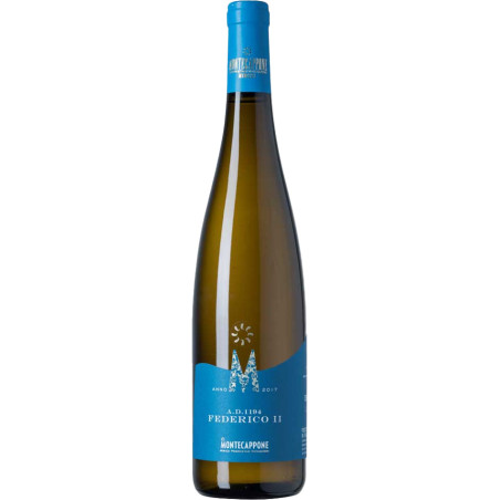 Weisswein Federico II Verdicchio C. Jiesi Class. Sup. DOC 2025