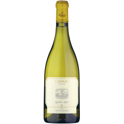 Rotwein CERVARO DELLA SALA, 75cl (VB)