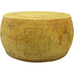 Grana Padano Grana Padano ganzer Laib ca. 35kg min. 10 Monate